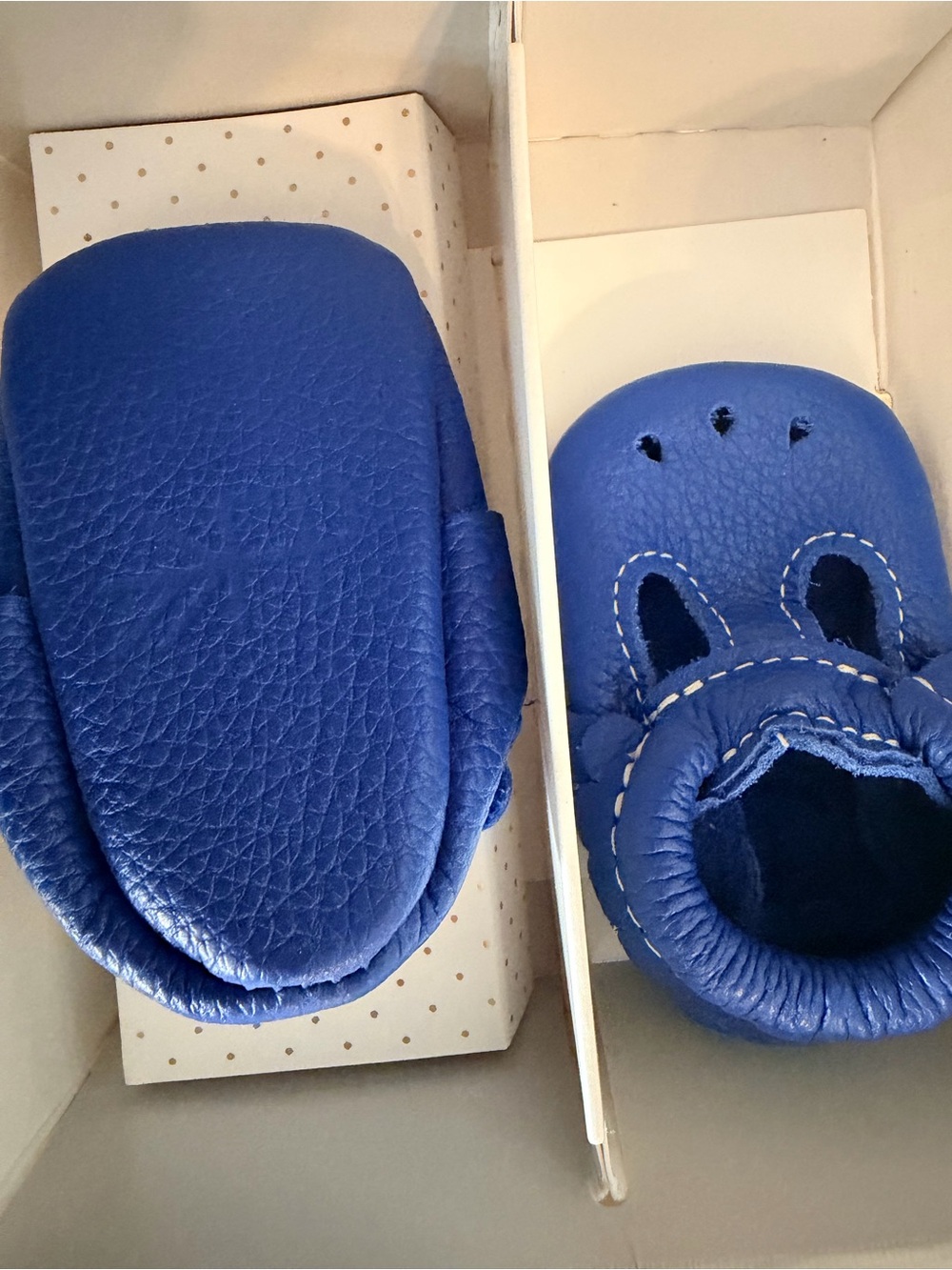 Freshly Picked NWT Mary Jane Cobalt Soft Leather Baby Moccasins
